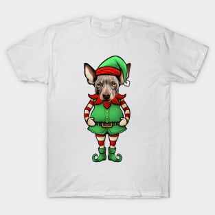 Funny Christmas Elf Hairless Terrier Dog T-Shirt